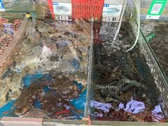 -四川小胡子海鲜(丁村万人海鲜广场店)