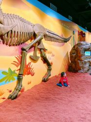 -北京科学中心儿童乐园