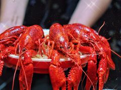 -虾乐园龙虾·夜宵(松江店)