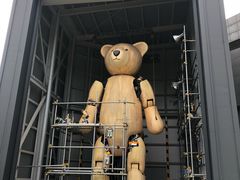 -济州岛泰迪熊博物馆