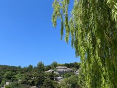 -北京西山国家森林公园