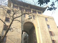 -武汉大学-樱园