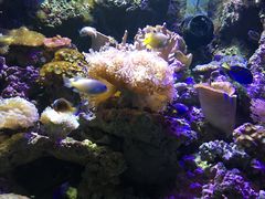 -杭州海底世界