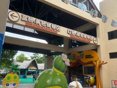 -苏州乐园森林水世界