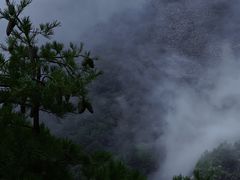 -朱雀国家森林公园