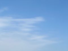 -空港花田景区