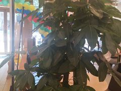 -德克士(宽甸店)