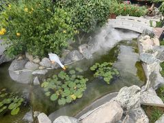 -蘇河湾·新鲁菜·泰山宴(泰山店)
