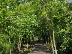 -盘龙城国家考古遗址公园