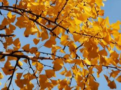 -中共上海市委党校 上海行政学院