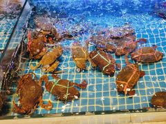 -阿明小菜·海鲜·上海菜(梅陇店)