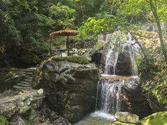 -牛背梁国家森林公园