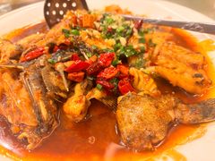 -新梅园不夜粥(龙华店)