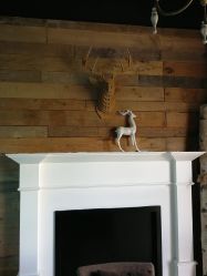 -星豆豆儿童摄影(南郊太白南路店)