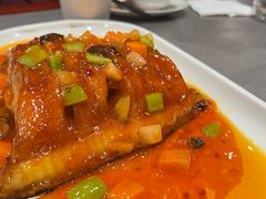 -燕春楼(海河华鼎店)