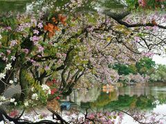 -星湖旅游景区七星岩