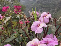 -乌江画廊(彭水苗族土家族自治县)