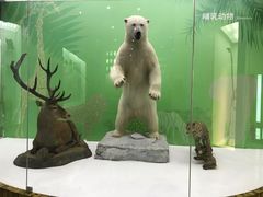 -国家自然博物馆