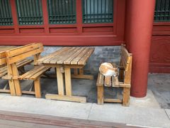 -北京石刻艺术博物馆(五塔寺)