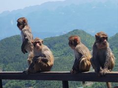 -重庆云阳龙缸景区