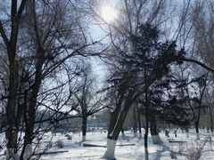 -长春市南湖公园