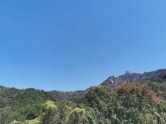 -木兰云雾山