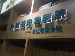 -瑞派长江宠物医院·猫科·外科·24小时夜护(谊城公寓分院)