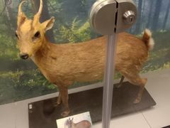 -下渚湖国家湿地公园科普馆