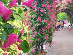 -广富林郊野公园