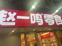 -赵一鸣零食(江苏南京福园街店)