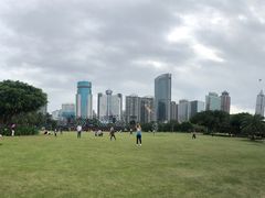 -万绿园