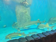 -多彩贵州城极地海洋世界