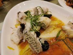 清蒸石斑鱼-金翠皇宫粤菜·点心·海鲜(科技园店)