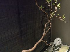 -臻品足道(佛祖岭店)