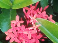 -维乐口腔医院(福清院)