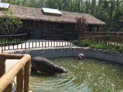 -济南野生动物世界