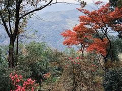-莫干山风景区