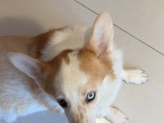 -平行世界·猫咖(首经贸店)