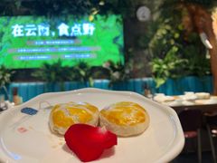 -菌歌野生菌火锅(海埂大坝店)