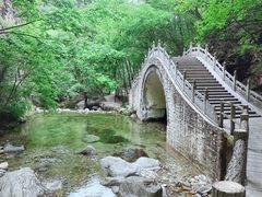 -牛背梁国家森林公园