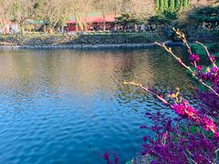 -庐山风景区花径公园