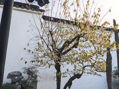 -拙政园