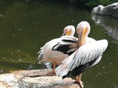 -昆明动物园