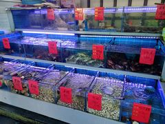 -金海湾海鲜排档(朱家尖店)
