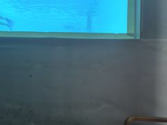 -上海潜殿潜水中心