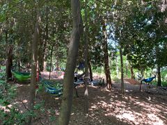 -铁山坪森林公园