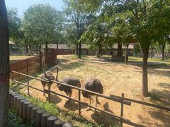 -石家庄市动物园