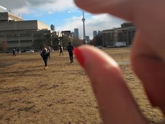 -加拿大国家电视塔