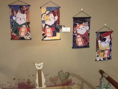 -CC猫狗洗浴·猫咪寄养酒店