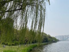 -凤城河风景区